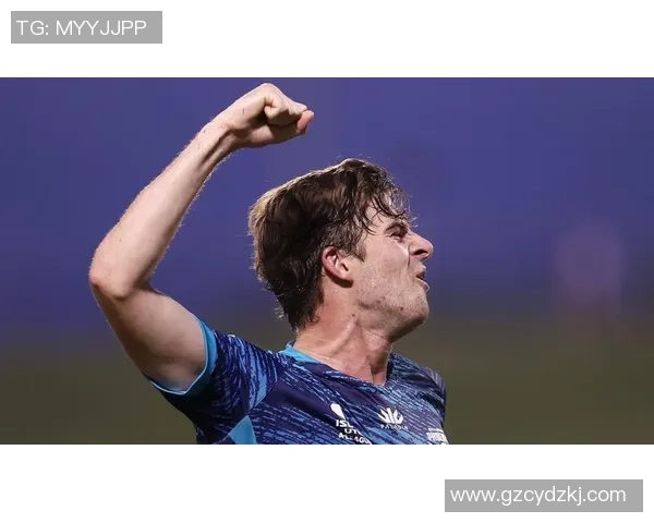 墨尔本胜利与惠灵顿凤凰对决前瞻分析及比赛结果预测